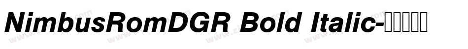 NimbusRomDGR Bold Italic字体转换